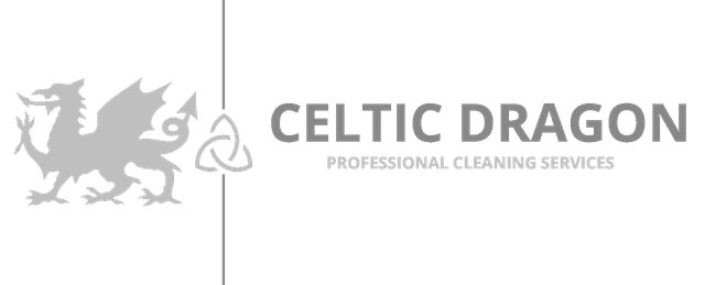 Celtic Dragon Cleaning