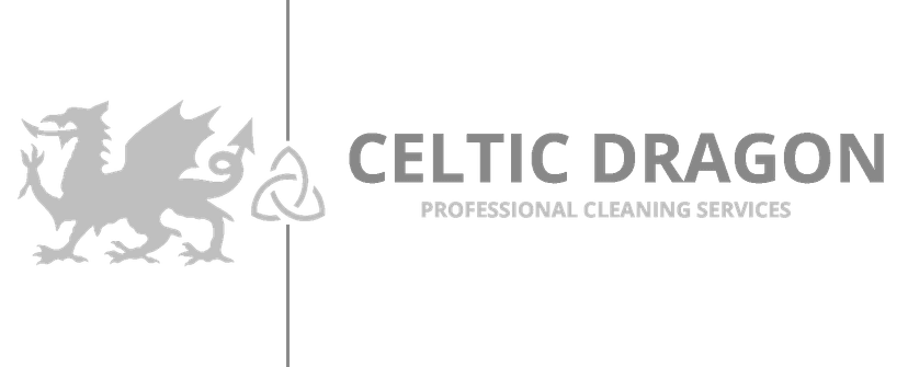 Celtic Dragon Cleaning